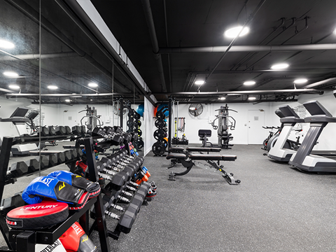 Fitness center Including cycling bikes, ellipticals, treadmills, free weights, and stretching balls.