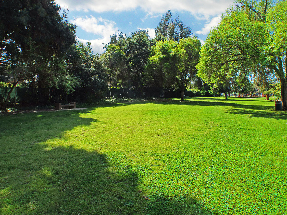 Woodbridge park - an enormous dog-friendly park - is directly accessible from the apartment courtyard!