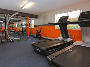 Fitness center with treadmills and weight equipment