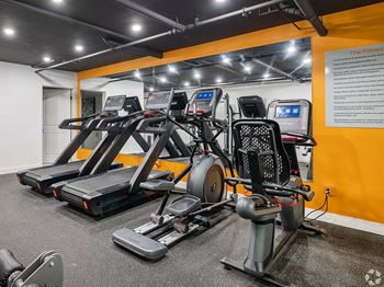 A gym with treadmills and elliptical machines.