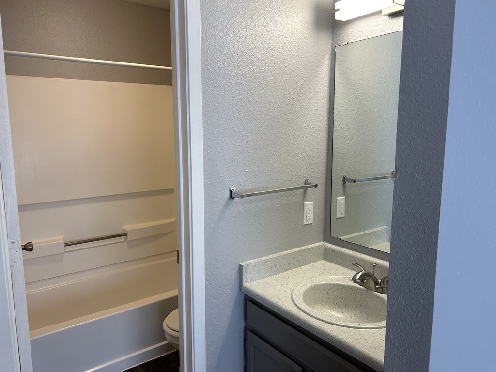 a bathroom with a sink and a shower and a mirror