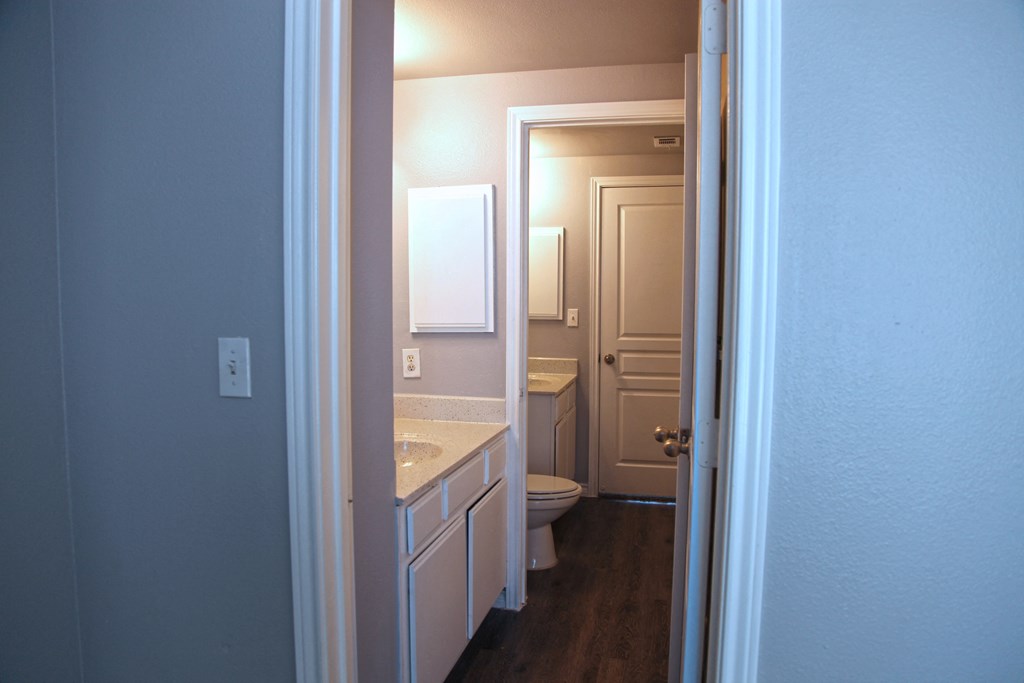 a bathroom with a toilet and a sink and a mirror