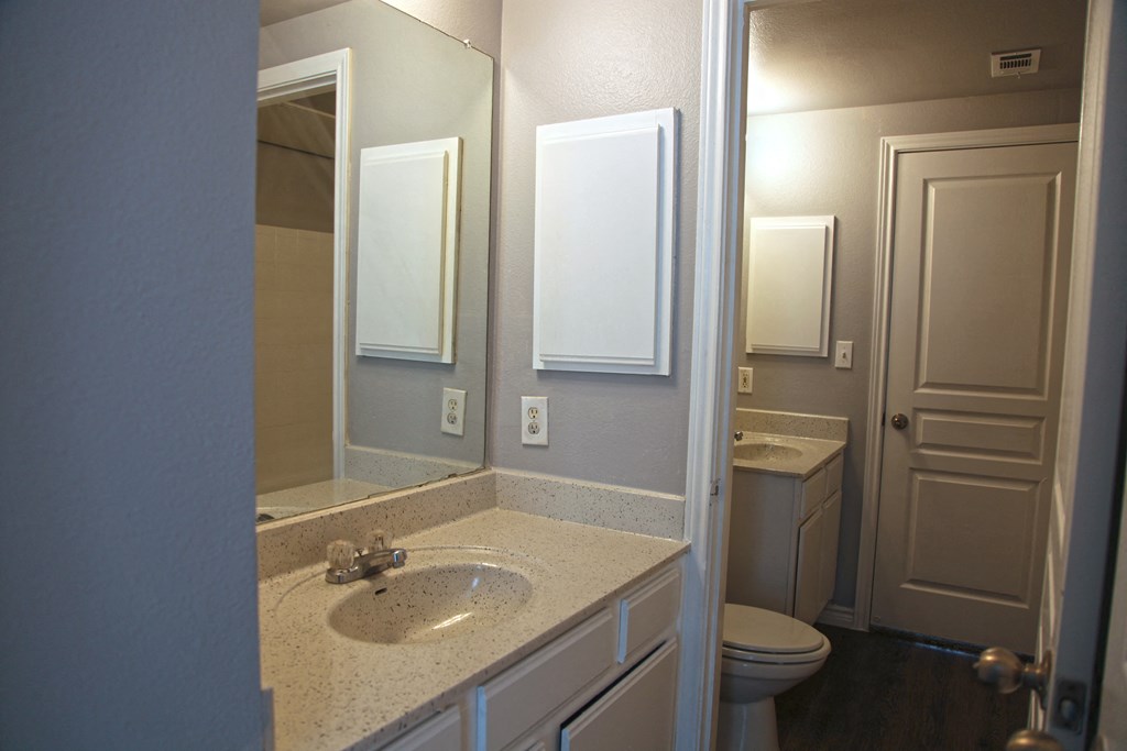 a bathroom with a sink and a mirror and a toilet