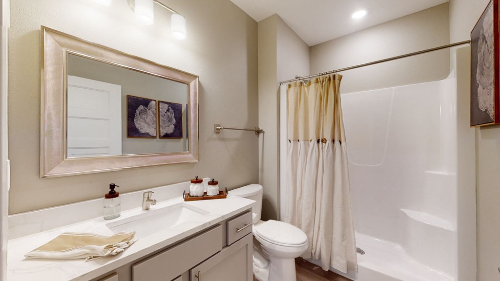 a bathroom with a shower toilet and sink and a mirror