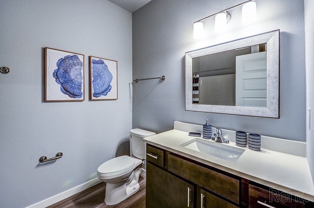 a bathroom with a sink and a toilet and a mirror