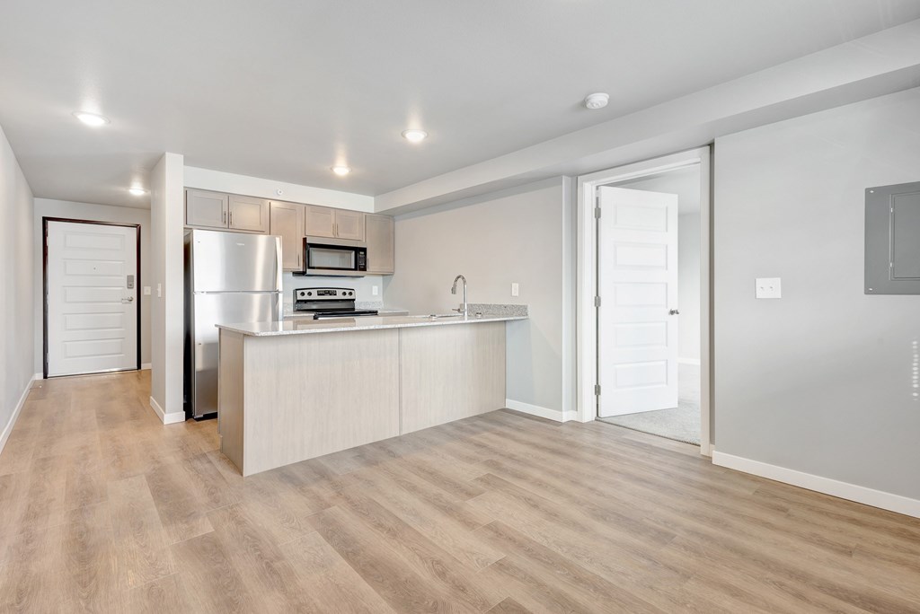 Kitchen and Living Area