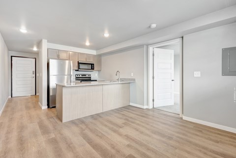 Kitchen and Living Area
