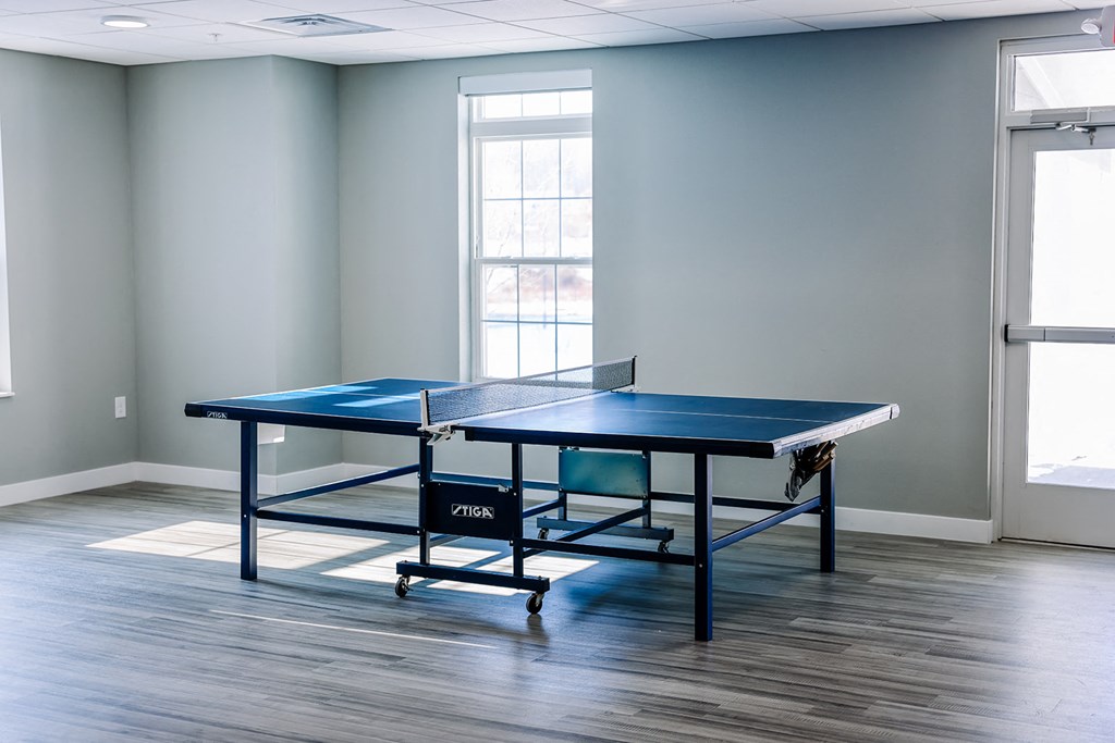 a ping pong table in a room with a window