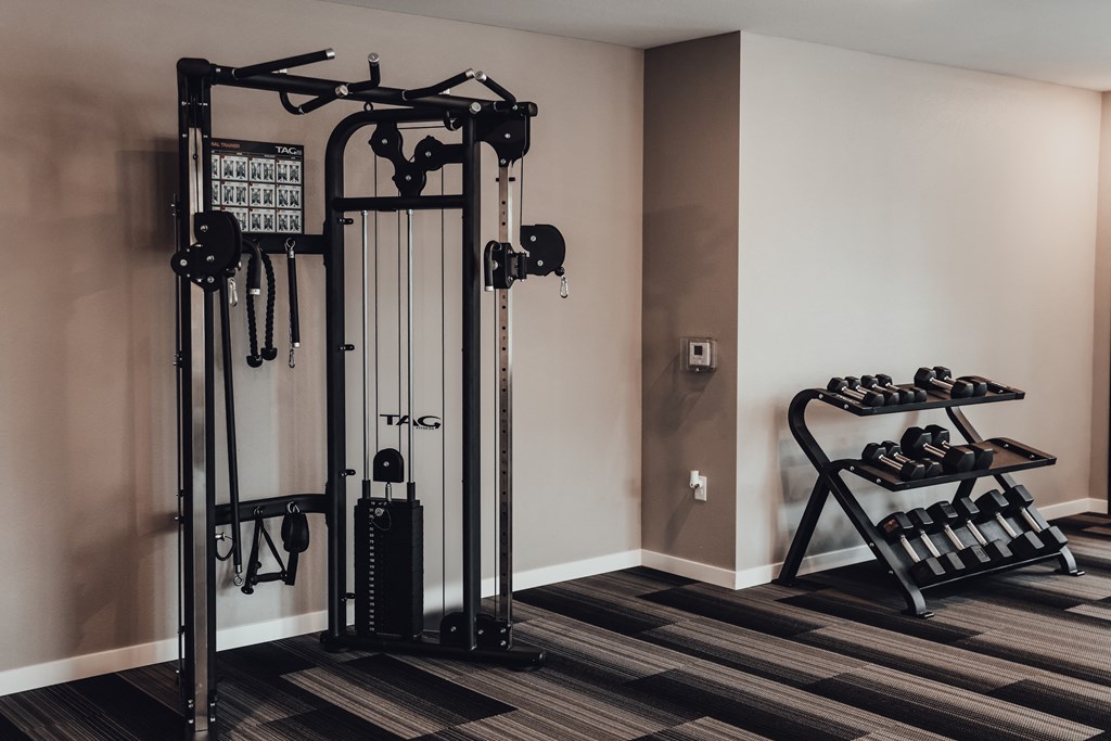 a fitness room with weights machines and a rack of shoes