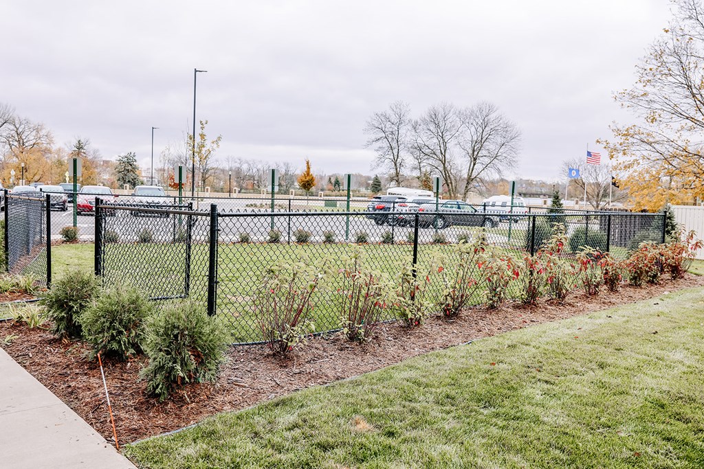 a garden of plants in front of a chain link fence