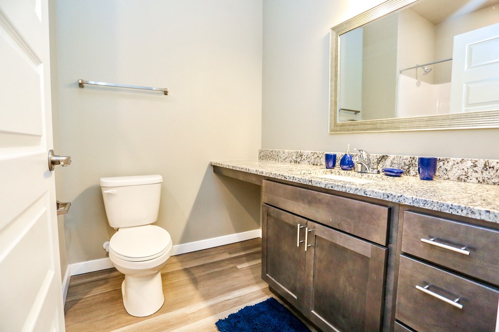 a bathroom with a toilet and a sink and a mirror