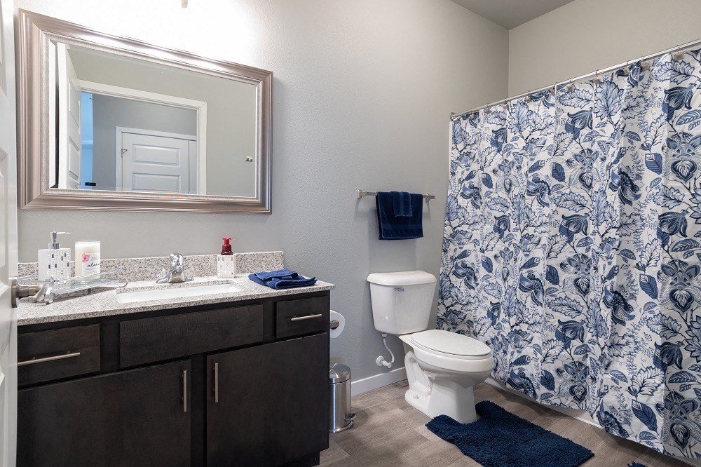 a bathroom with a blue and white shower curtain and a toilet