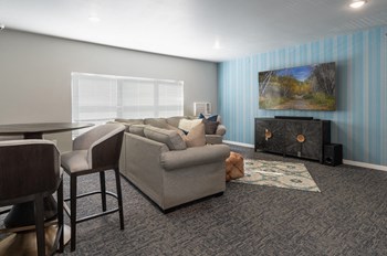 300 20th St South Studio-2 Beds Apartment for Rent - Photo Gallery 6