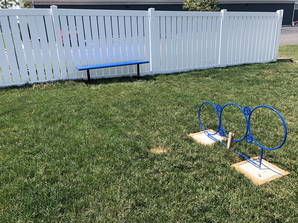 two blue hoops on a stand in the grass next to a fence