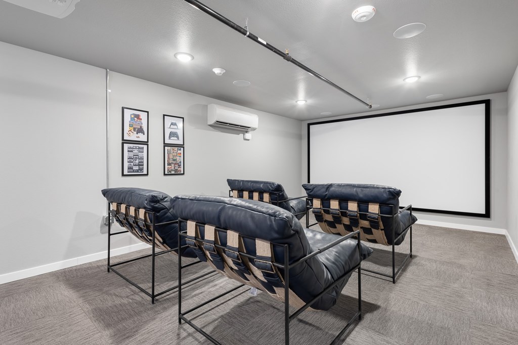 Movie Room Chairs