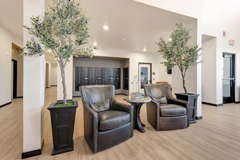 A living room with a brown leather chair and a small tree in a black planter.