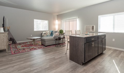 Living Room and Kitchen Island