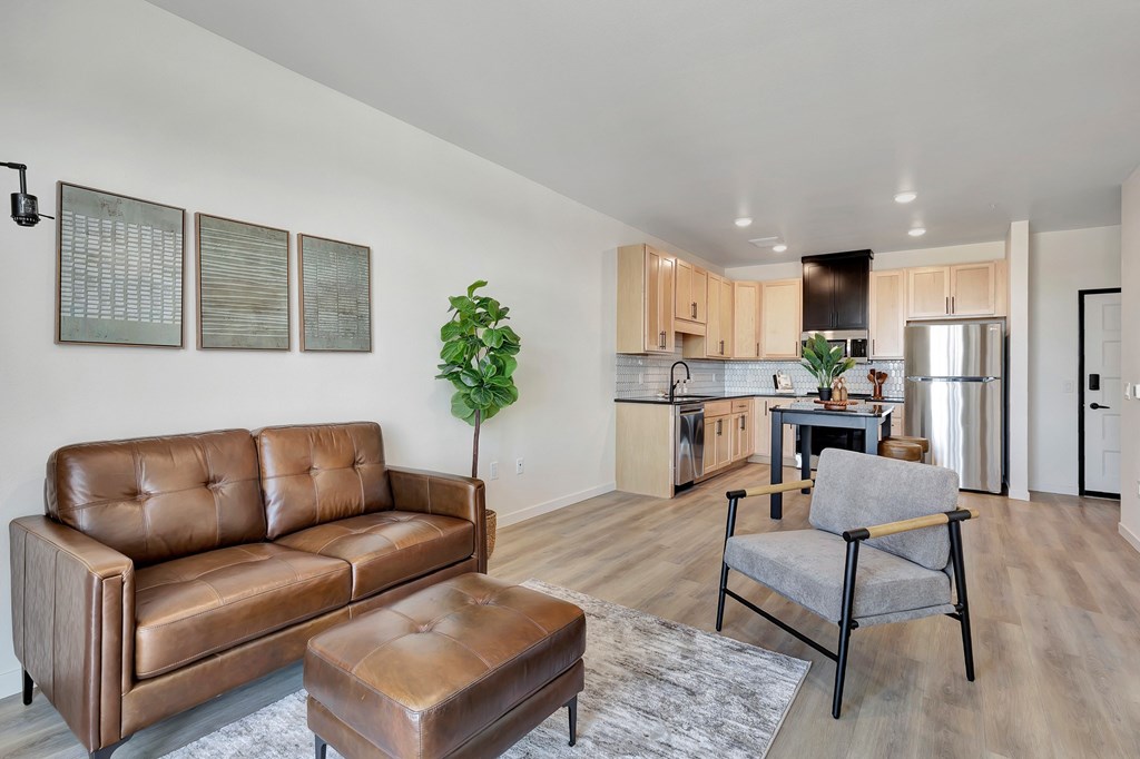 1 Bedroom Furnished Living Room