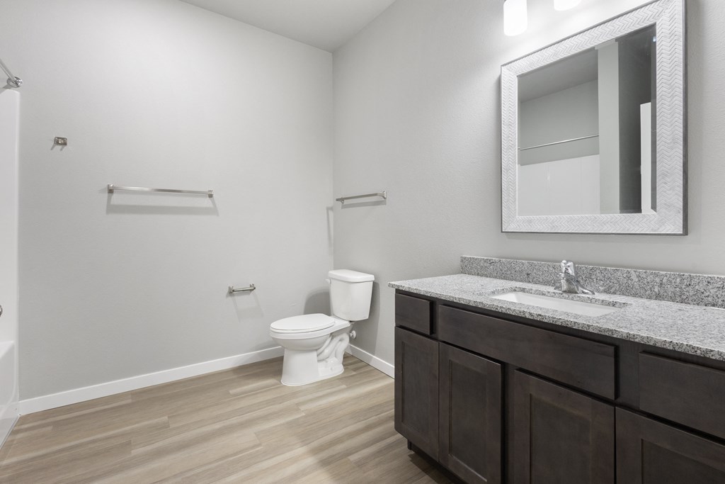 a bathroom with a sink and a toilet and a mirror