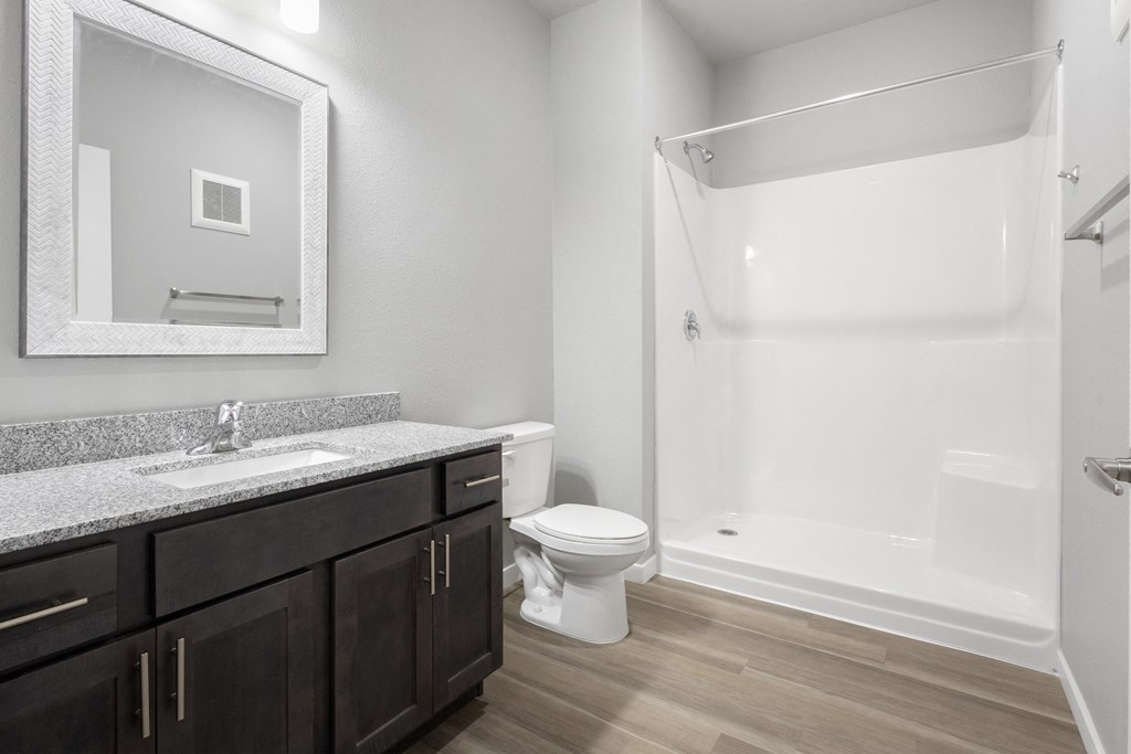 a bathroom with a shower toilet and sink and a mirror