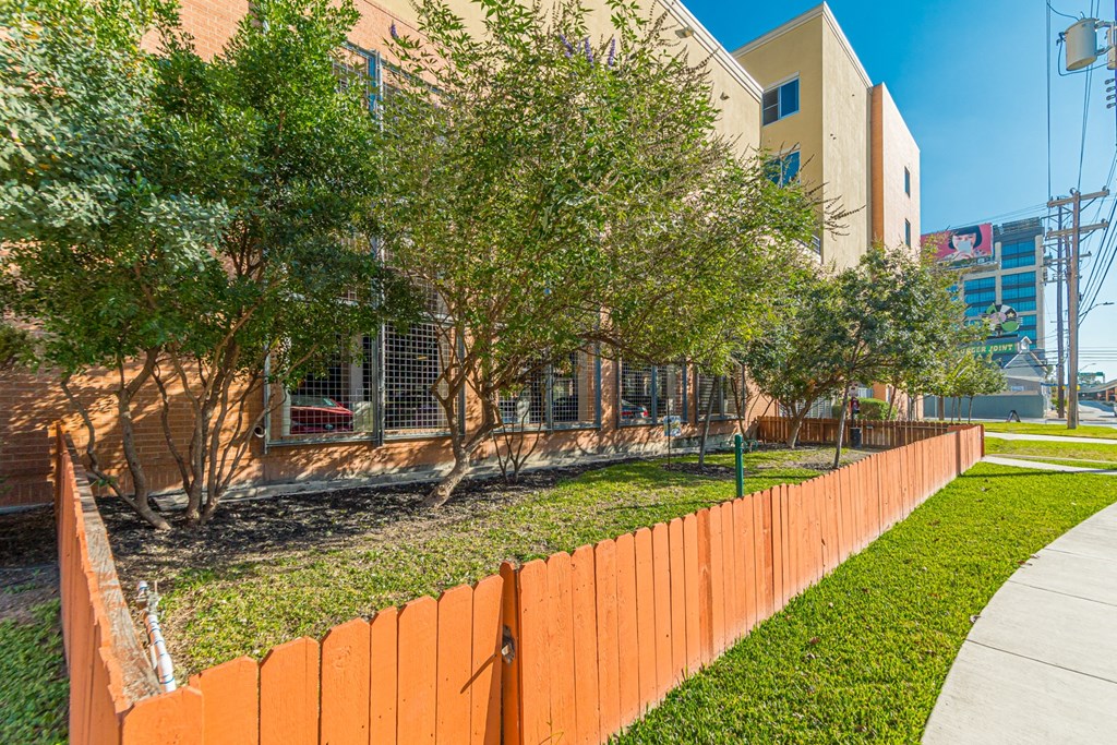 Dog Yard at The Mosaic on Broadway, San Antonio, Texas