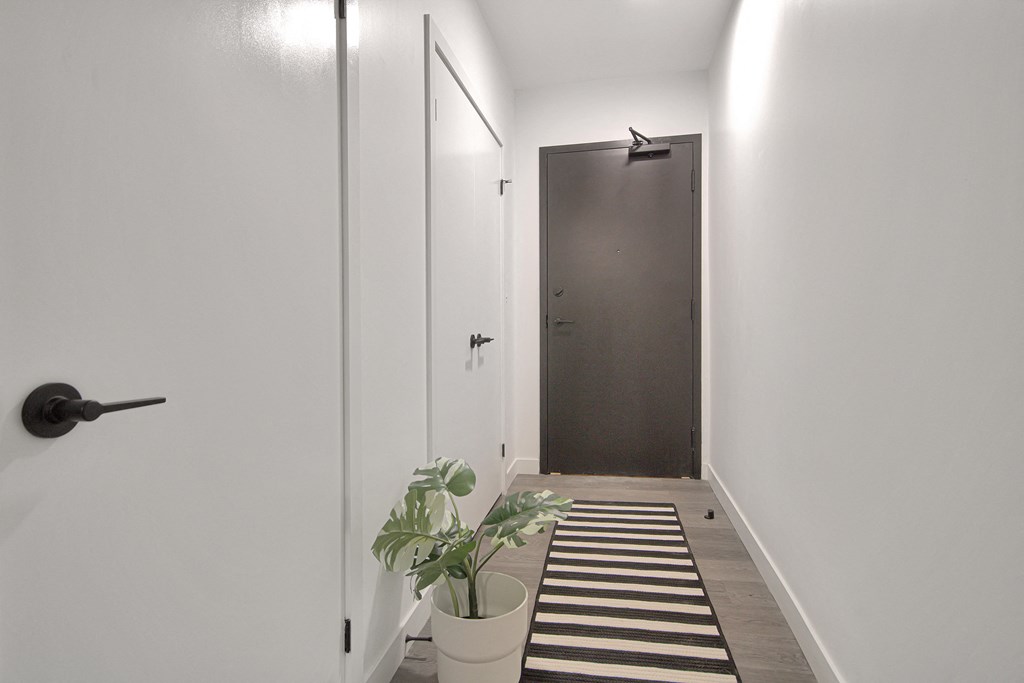 a hallway with a black door and a black and white striped rug and a plant
