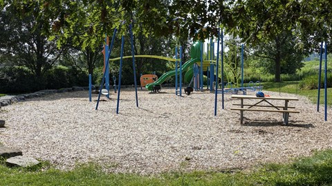 a playground in a park with a picnic table