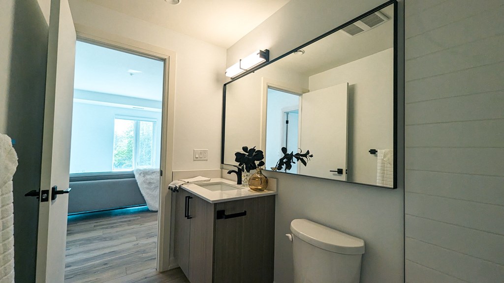 a small bathroom with a large mirror and a toilet