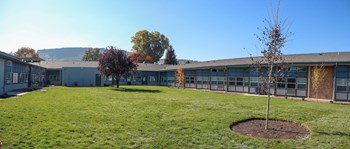 Courtyard - Photo Gallery 5