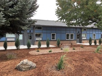 Landscaping - Photo Gallery 6