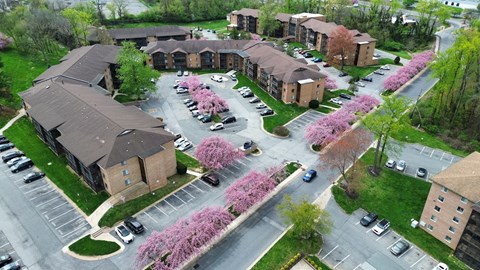 A parking lot with cars and a building in the background.