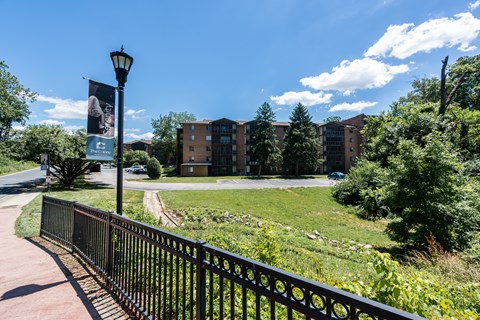 A black metal fence borders a grassy area with a building in the background.