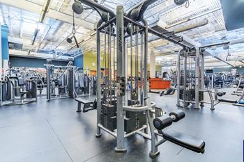 Weight room at The Botanic, Carteret, 07008