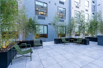The Botanic 2nd floor outdoor terrace lounge - Photo Gallery 29