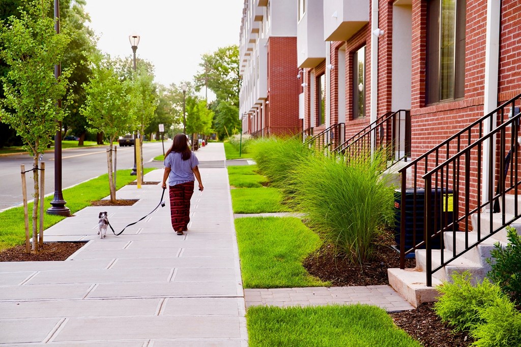 View in front of The Lofts at Middlesex in Middlesex NJ of someone walking their dog