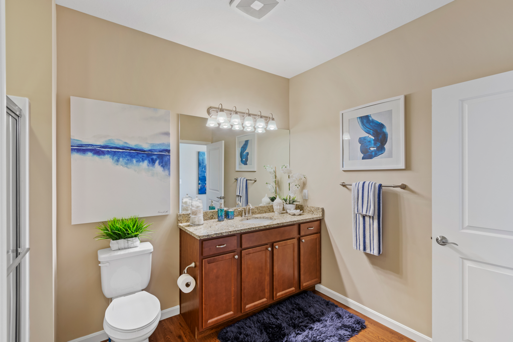 a bathroom with a toilet and a sink and a mirror