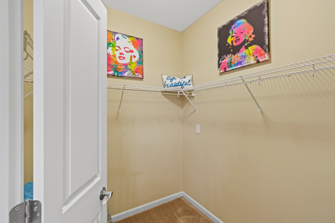 a spacious closet with hanging racks and paintings on the wall