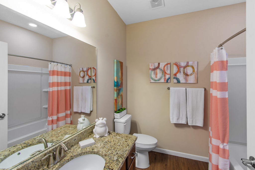 a bathroom with a sink and a toilet and a mirror