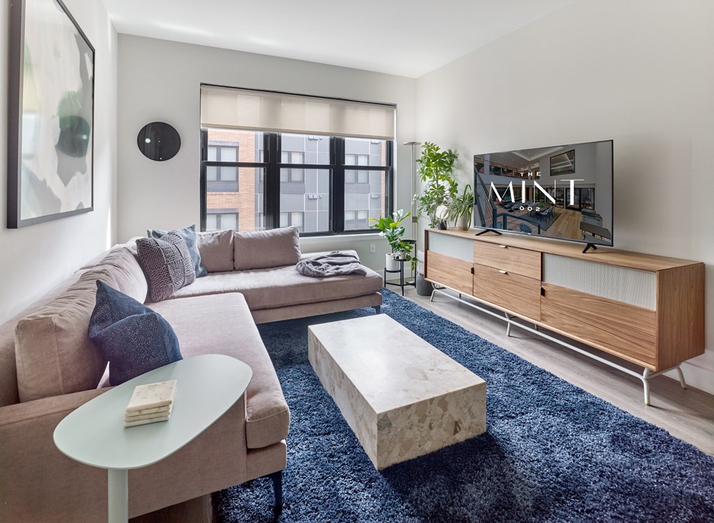 a living room with a couch and a tv and a blue rug