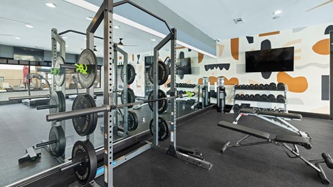 Weight training area in the Reatta Ranch Justin, TX gym, with squat racks, barbells, dumbbells, and fitness benches on a rubber floor.