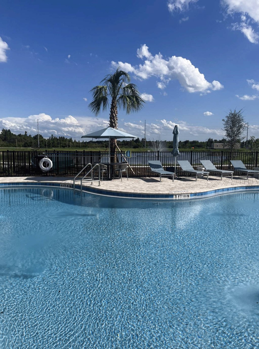 A palm tree stands next to a pool with sun loungers.
