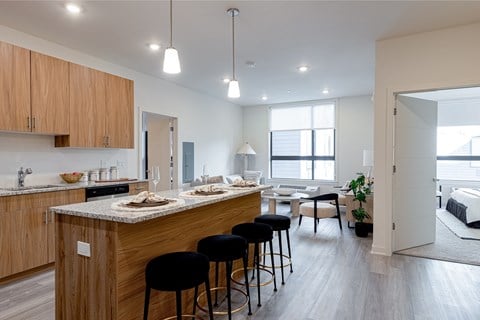 The Botanic Luxury Apartments for Rent in Carteret NJ - Kitchen with Island