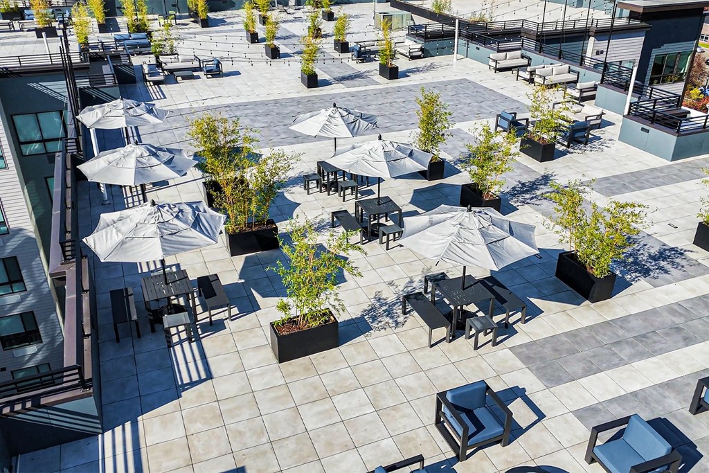 Aerial View of the Rooftop Lounge at The Botanic, Carteret, NJ