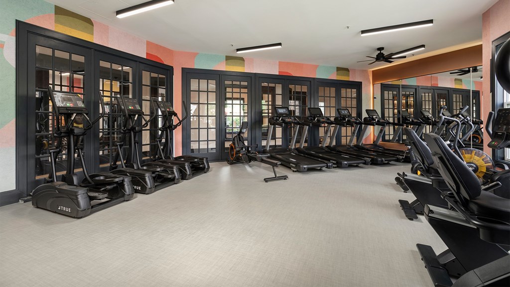 Cardio and training room at The Mews at Princeton Junction with treadmills, ellipticals, and vibrant wall art, offering luxury fitness amenities in Princeton NJ.