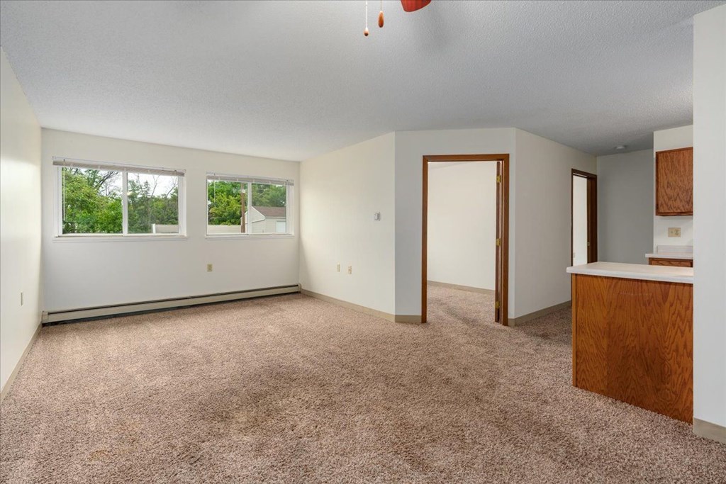 A room with a brown carpet and a brown cabinet.