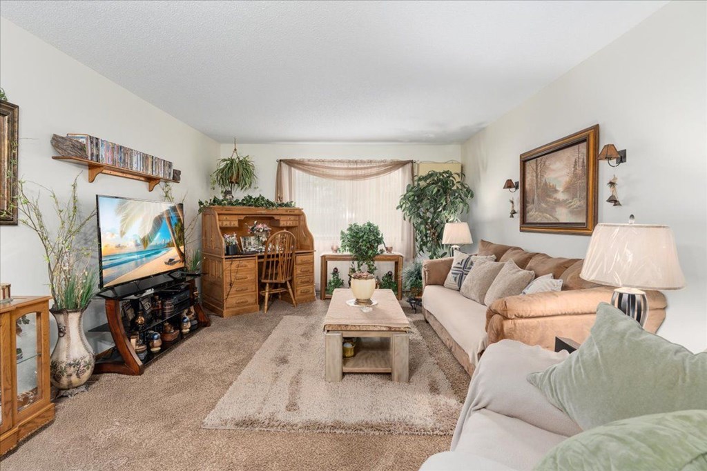 A living room with a couch, a coffee table, and a television.