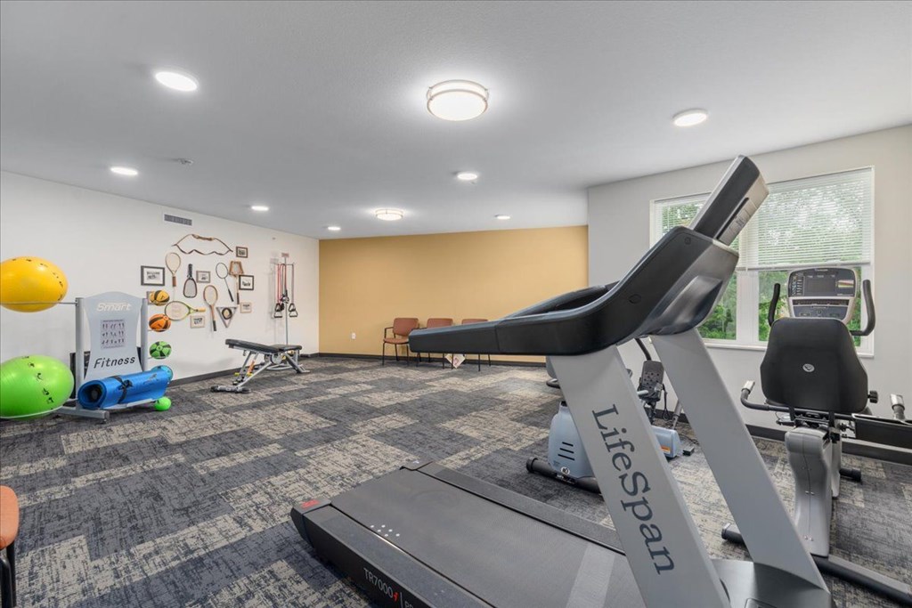 A Lifespan treadmill is in a room with exercise equipment.