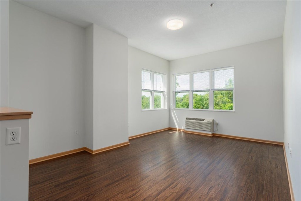 A room with wooden floors and a window overlooking a green area.
