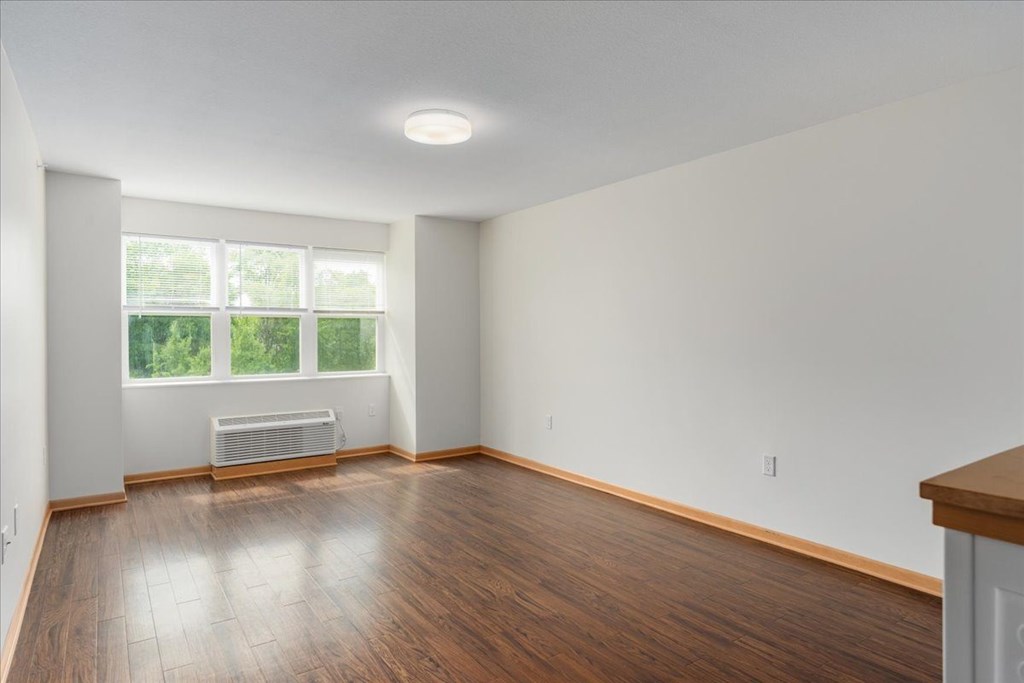 A room with a window and a radiator on the wall.