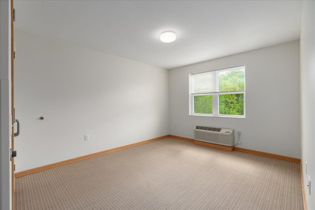 A room with a window and a carpeted floor.